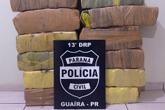 Tabletes de droga empilhados. Na frente, placa com logo da polícia civil.