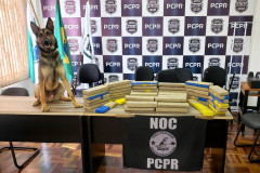 Cão policial sobre uma mesa, ao lado de droga apreendida