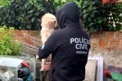 Policial civil com cão resgatado, no colo