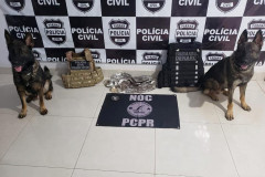 Cães policiais ao lado de droga apreendida. Ao fundo, banner com brasão da polícia civil