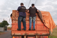 Dois policiais civis na carroceria do caminhão, verificando carga