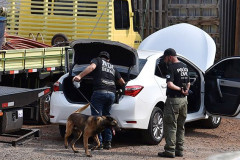 Dois policiais civis investigam interior de um veículo com ajuda de cão policial