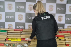 PCPR apreende cerca de 1,5 tonelada de maconha no Centro de Curitiba