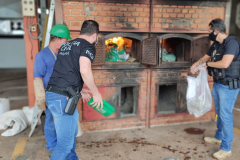 PCPR incinera 533 quilos de drogas em Londrina
