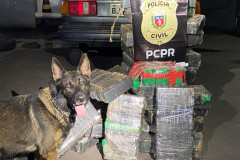 Cão policial da PCPR aparece em foto com droga apreendida
