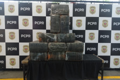PCPR prende quatro pessoas por tráfico de drogas e apreende 265 quilos de maconha