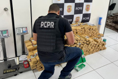 Policial civil organiza tabletes de droga apreendidos
