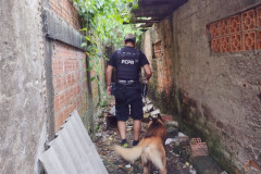 Policial civil em busca com cão policial