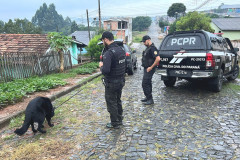 Policiais com cão policial em via pública
