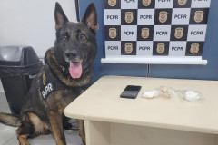 Cão policial ao lado de produtos apreendidos