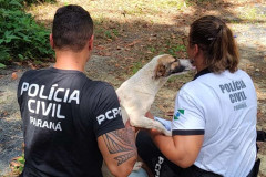 Dois policiais civis com um cão