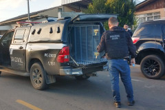 PCPR prende homem condenado por tentativa de latrocínio ocorrida em Ribeirão do Pinhal