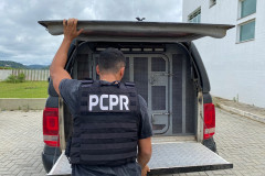 PCPR e PMPR prendem suspeito de homicídio e tentativa de homicídio ocorridos em Laranjeiras do Sul