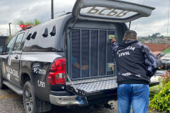 PCPR apreende dois adolescente e recupera veículo roubado em Santa Terezinha de Itaipu
