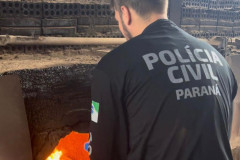 PCPR incinera 200 quilos de maconha em Salto do Lontra
