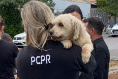 PCPR prende em flagrante homem por maus-tratos a animais em Curitiba
