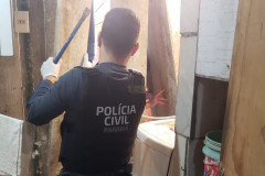 PCPR prende suspeito por tráfico de drogas e receptação em Paranaguá