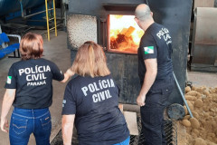 PCPR incinera 482 quilos de drogas em Campina Grande do Sul