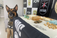 PCPR e PMPR prendem quatro pessoas durante operação em Palmas