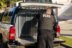 PCPR prende mulher suspeita de envolvimento em latrocínio ocorrido em Wenceslau Braz