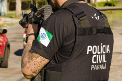 PCPR apreende 15 armas de fogo e prende homem em flagrante em General Carneiro 