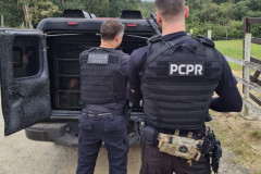PCPR prende três suspeitos de atentado à residência em Irati