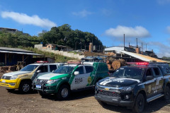 PCPR, PMPR e Receita Estadual deflagram operação em madeireiras em Inácio Martins