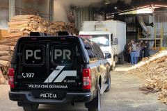PCPR incinera 4,5 toneladas de drogas em Ponta Grossa