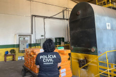 PCPR incinera 1 tonelada de maconha em Icaraíma