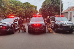 PCPR e PMPR prendem três pessoas e apreendem crack e munições em Nova Londrina
