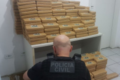 PCPR apreende cerca de 350 quilos de maconha e prende três por tráfico em São Luiz do Purunã