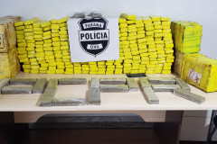 PCPR apreende 283 quilos de maconha e prende trio envolvido com distribuição de drogas no Oeste do Estado