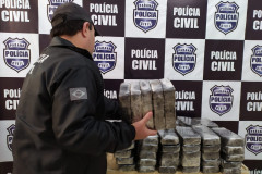PCPR apreende 65 quilos de crack em Foz do Iguaçu.