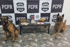 PCPR deflagra operação e apreende drogas com o apoio de cães farejadores