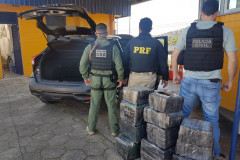 PCPR e PRF apreendem 198 quilos de maconha em Campina Grande do Sul
