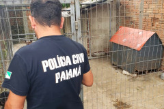 PCPR fecha canil clandestino e resgata animais em situação de maus-tratos na RMC