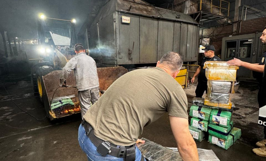 PCPR incinera 1,3 toneladas de maconha em Terra Boa