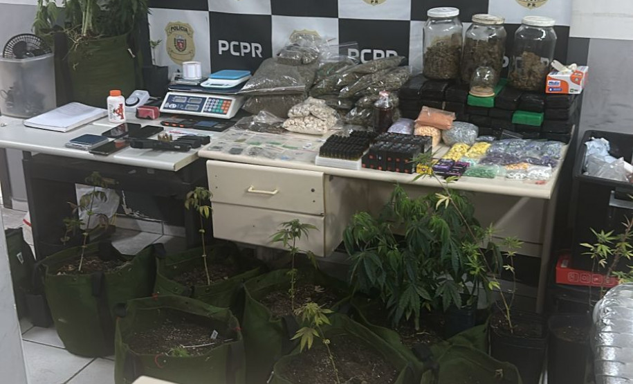 PCPR prende homem por tentativa de homicídio e fecha laboratório de drogas em Colombo