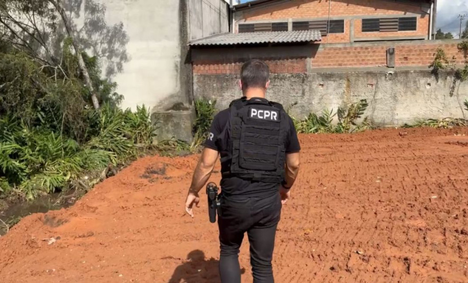 PCPR prende homem por desmatar área de proteção ambiental em Curitiba
