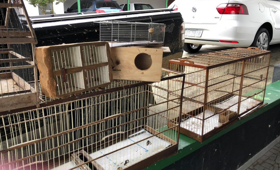 PCPR prende comerciante de aves silvestres na Capital