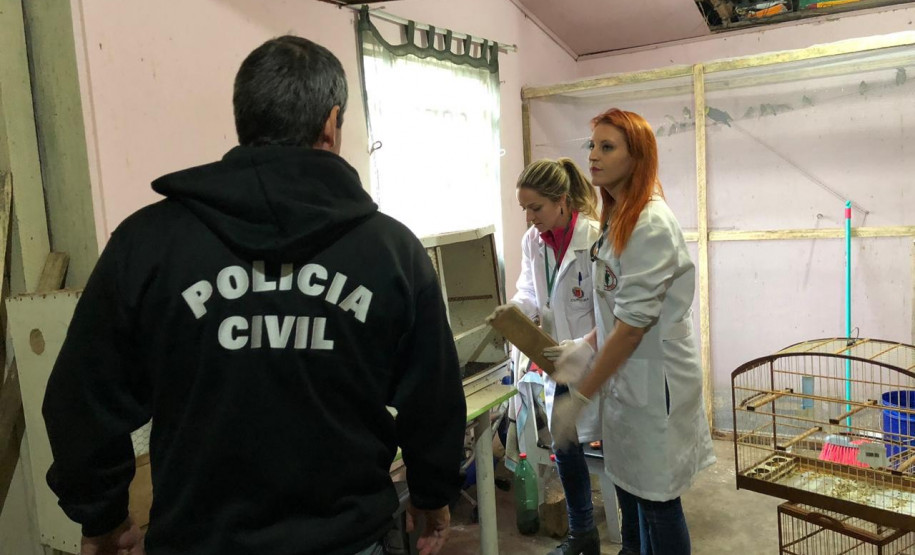 PCPR prende comerciante de aves silvestres na Capital